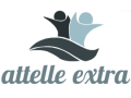 Détails : Attelle Extra